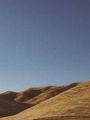 Double Blessing: CEO