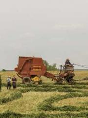 My husband is the Ki