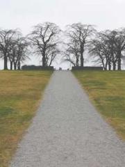 Unbound by any rules