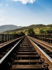 My pets are all amaz