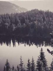 lt;Liang Yimo Cold N