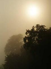 A Lifetime of Captiv