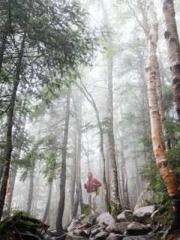 Lǐnfēng Lín yún yu y